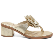 Sandália de Couro Rio de Luz - 8147